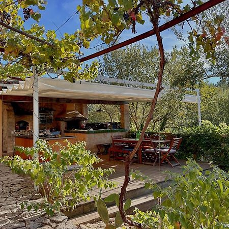 Glamping Do Ze Hotel Cernache do Bonjardim Exterior photo