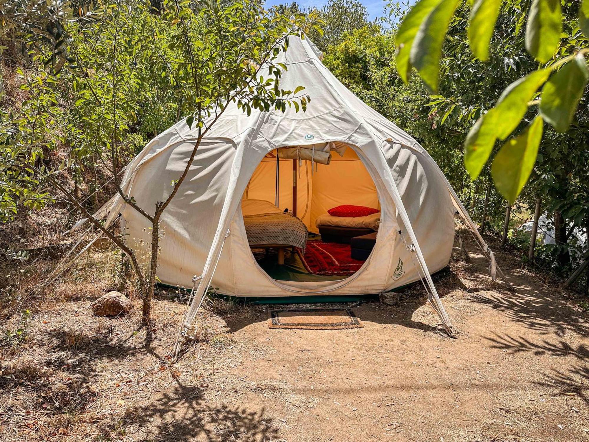 Glamping Do Ze Hotel Cernache do Bonjardim Exterior photo